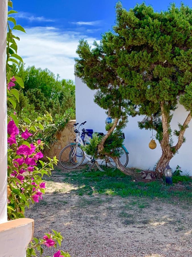 Meridium Formentera By Tentol Hotels Playa Migjorn Exterior foto